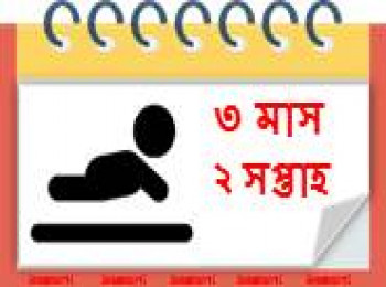 ৩ মাস বয়সী, ২ সপ্তাহ