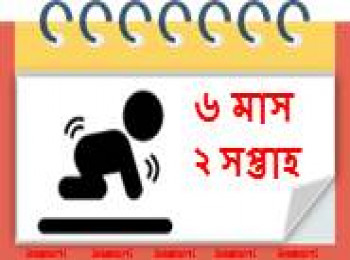 ৬ মাস বয়সী, ২ সপ্তাহ
