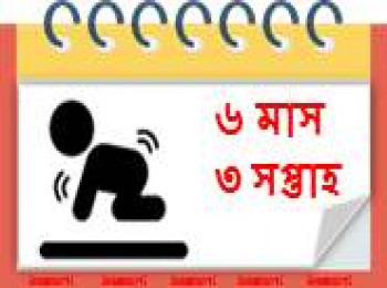 ৬ মাস বয়সী, ৩ সপ্তাহ