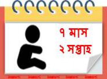 ৭ মাস বয়সী, ২ সপ্তাহ