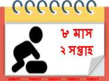 ৮ মাস বয়সী, ২ সপ্তাহ