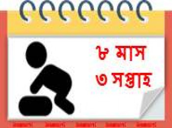 ৮ মাস বয়সী, ৩ সপ্তাহ