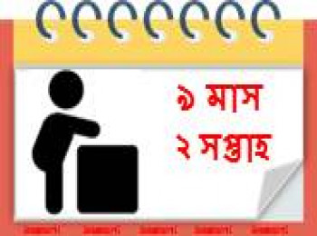 ৯ মাস বয়সী, ২ সপ্তাহ