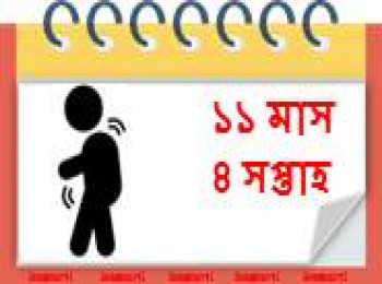 ১১ মাস বয়সী, ৪ সপ্তাহ