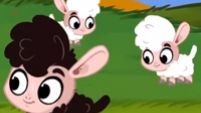 Baa Baa Black Sheep
